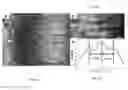 Fig. 08 - Method for passivating surfaces, functionalizing inert surfaces, layers and devices including same
