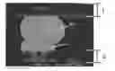 Fig. 01 - Lead-free solder ball