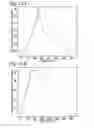 Fig. 08 - Fabrication process using circuit-on-wire