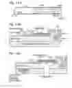 Fig. 09 - Fabrication process using circuit-on-wire