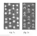 Fig. 07 - Nitride nanowires and method of producing such