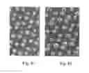 Fig. 08 - Nitride nanowires and method of producing such