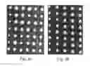 Fig. 09 - Nitride nanowires and method of producing such