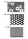 Fig. 08 - Three-dimensional gallium nitride (GaN) pillar structure light emitting diode (LED)