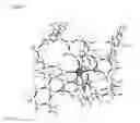 Fig. 03 - TRANSITION METAL COMPLEXES COMPRISING SYMMETRIC TETRADENTATE LIGANDS