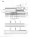 Fig. 02 - Flexible display device and method of manufacturing the same