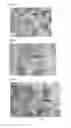 Fig. 02 - Cathode active material coating solution for secondary battery and method of manufacturing the same