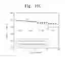 Fig. 14 - Solid polymeric electrolytes and lithium battery including the same