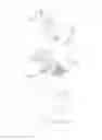 Fig. 65 - Flippable electrical connector
