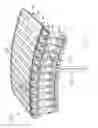 Fig. 48 - Electrical machine