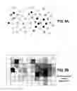 Fig. 07 - Methods and systems for determining signal strength maps for wireless access points robust to measurement counts