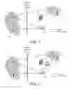 Fig. 02 - Method and device for passing through isolation device in surveillance network