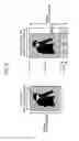 Fig. 16 - Image processing apparatus, image processing method, and recording medium