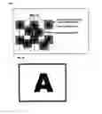 Fig. 12 - PRINTING STRUCTURE OF MEDIUM SURFACE ON WHICH DOT PATTERN IS FORMED BY PRINTING, PRINTING METHOD, AND ITS READING METHOD