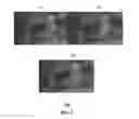 Fig. 06 - Apparatus and method for distributing three dimensional media content