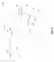 Fig. 08 - Arrangement and imaging of biological samples
