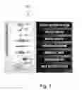 Fig. 02 - VENUE SPECIFIC MULTI POINT IMAGE CAPTURE
