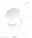 Fig. 02 - Waterproof Speaker
