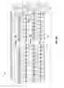 Fig. 07 - Load reduced memory module