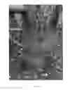 Fig. 04 - Apricot tree named 'NJA152'