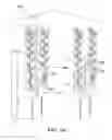 Fig. 02 - Method for enhancing the nutritional value in an edible plant part by light, and lighting device therefore