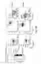 Fig. 41 - Hematopoietic stem cell specific reporter mouse and uses thereof