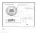 Fig. 04 - Nanoformulation of musk-derived bioactive ingredients for nanocosmetic applications