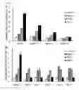 Fig. 06 - Novel Immunogenic Fungal Extract and Pattern Recognition Receptor In Plants