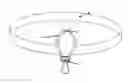 Fig. 01 - Adjustable Headband