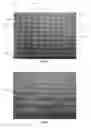 Fig. 02 - Article of apparel including thermoregulatory textile