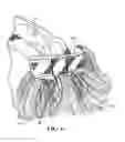 Fig. 07 - HAIR EXTENSION