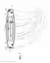 Fig. 08 - HAIR EXTENSION