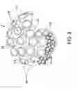 Fig. 03 - Protective headgear