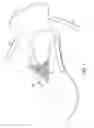 Fig. 02 - Fast transition running shoe