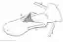 Fig. 01 - Fast transition running shoe