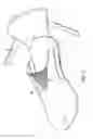 Fig. 02 - Fast transition running shoe