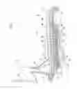 Fig. 06 - Chair with a seat and backrest movable in a synchronized way