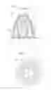 Fig. 06 - Whisk with Improved Aeration
