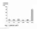 Fig. 02 - LUMINAL ADMINISTRATION OF TAG MOLECULES FOR DIAGNOSTIC APPLICATIONS