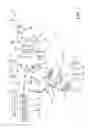 Fig. 02 - Ophthalmologic observation apparatus