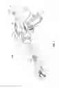 Fig. 02 - Articulating surgical apparatus