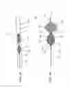 Fig. 06 - Devices and methods for vascular recanalization