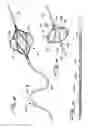 Fig. 07 - Rotational thrombectomy wire with blocking device