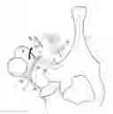 Fig. 01 - Bone fixing system