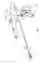 Fig. 02 - Surgical instrument with a separable coaxial joint