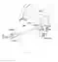 Fig. 01 - Method and system for transcranial photoacoustic imaging for guiding skull base surgeries