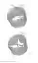 Fig. 04 - Methods and apparatus for endovascularly replacing a patient's heart valve