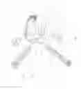 Fig. 02 - Spinal implant
