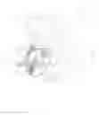 Fig. 09 - Spinal implant