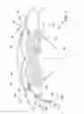 Fig. 02 - Methods and apparatus for delivering ocular implants into the eye